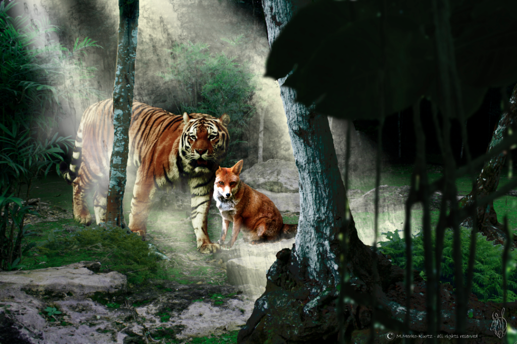 fox and tiger_by maya merko-kurtz
